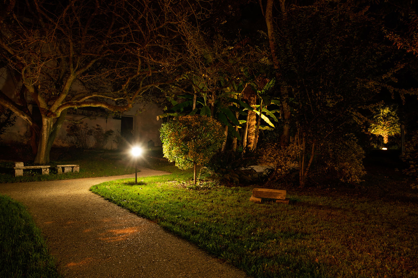 Jeux de lumière dans le Jardin